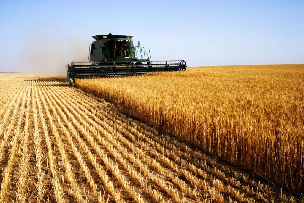 Local farm or industry in District 22